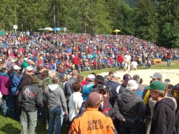 Publikumsaufmarsch gross